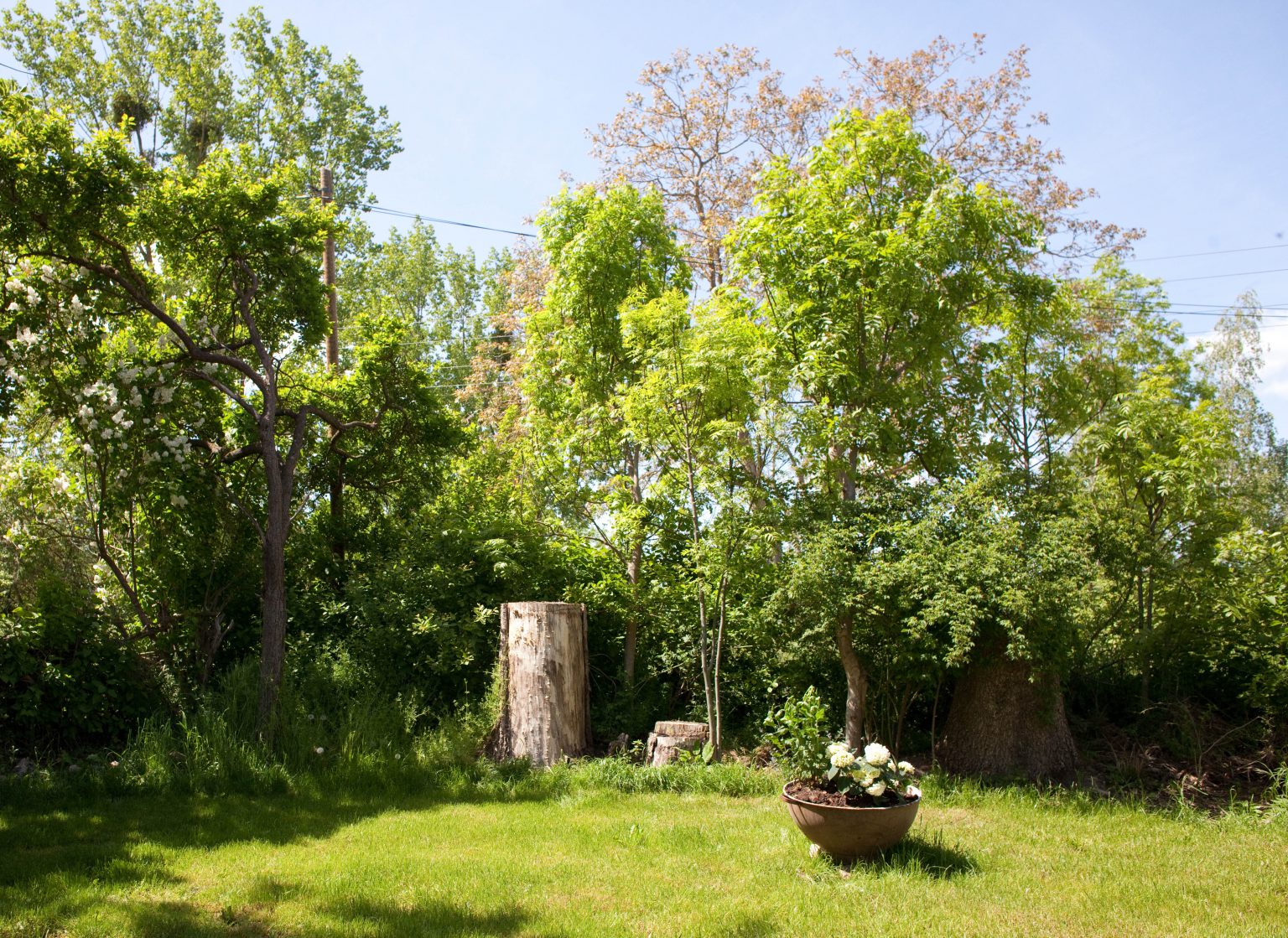 Das Haus – St. Unterholz